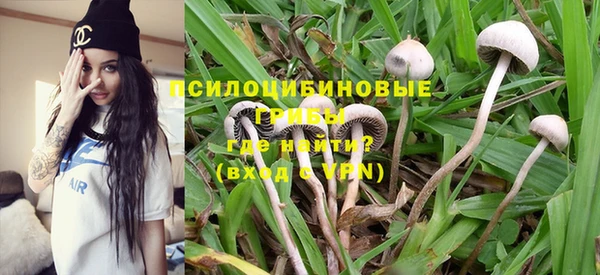 PSILOCYBIN Арсеньев