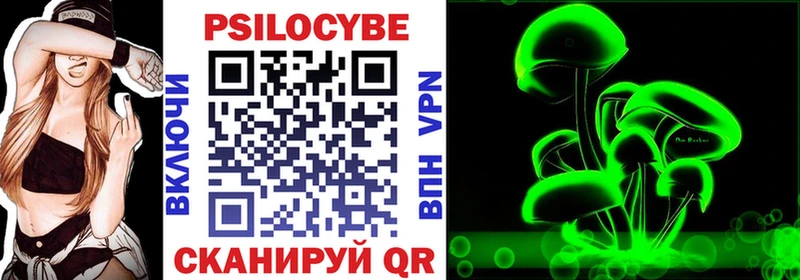 Галлюциногенные грибы Cubensis мега как войти Сковородино